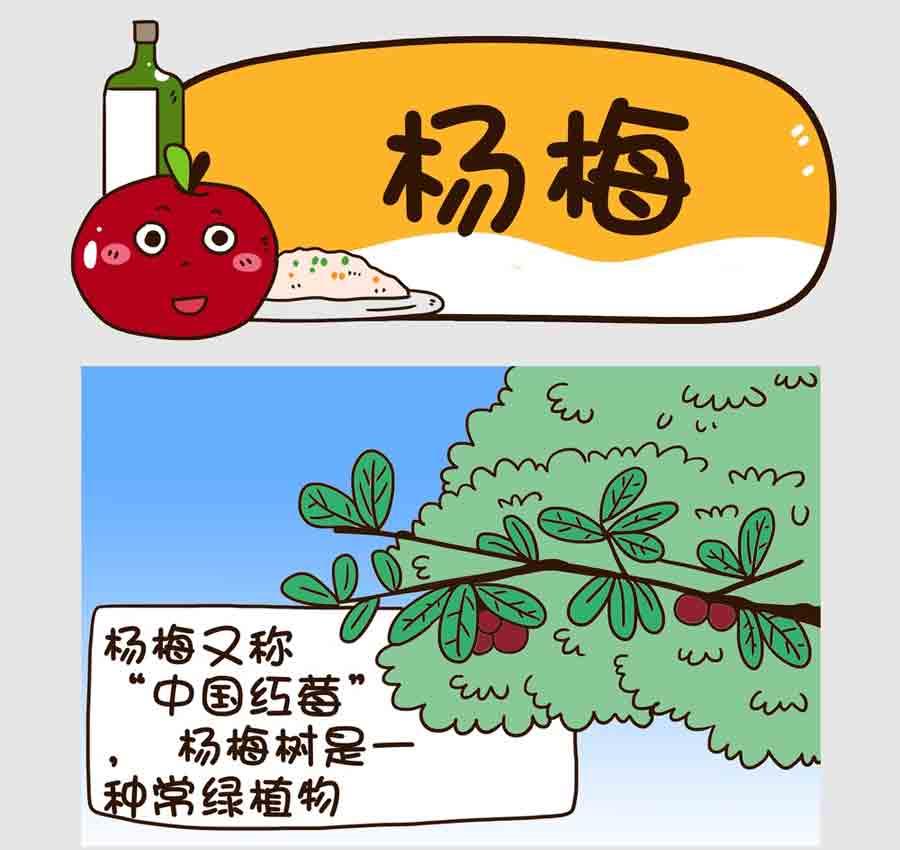 世界吃貨篇 - 世界吃貨篇 第7集 - 2
