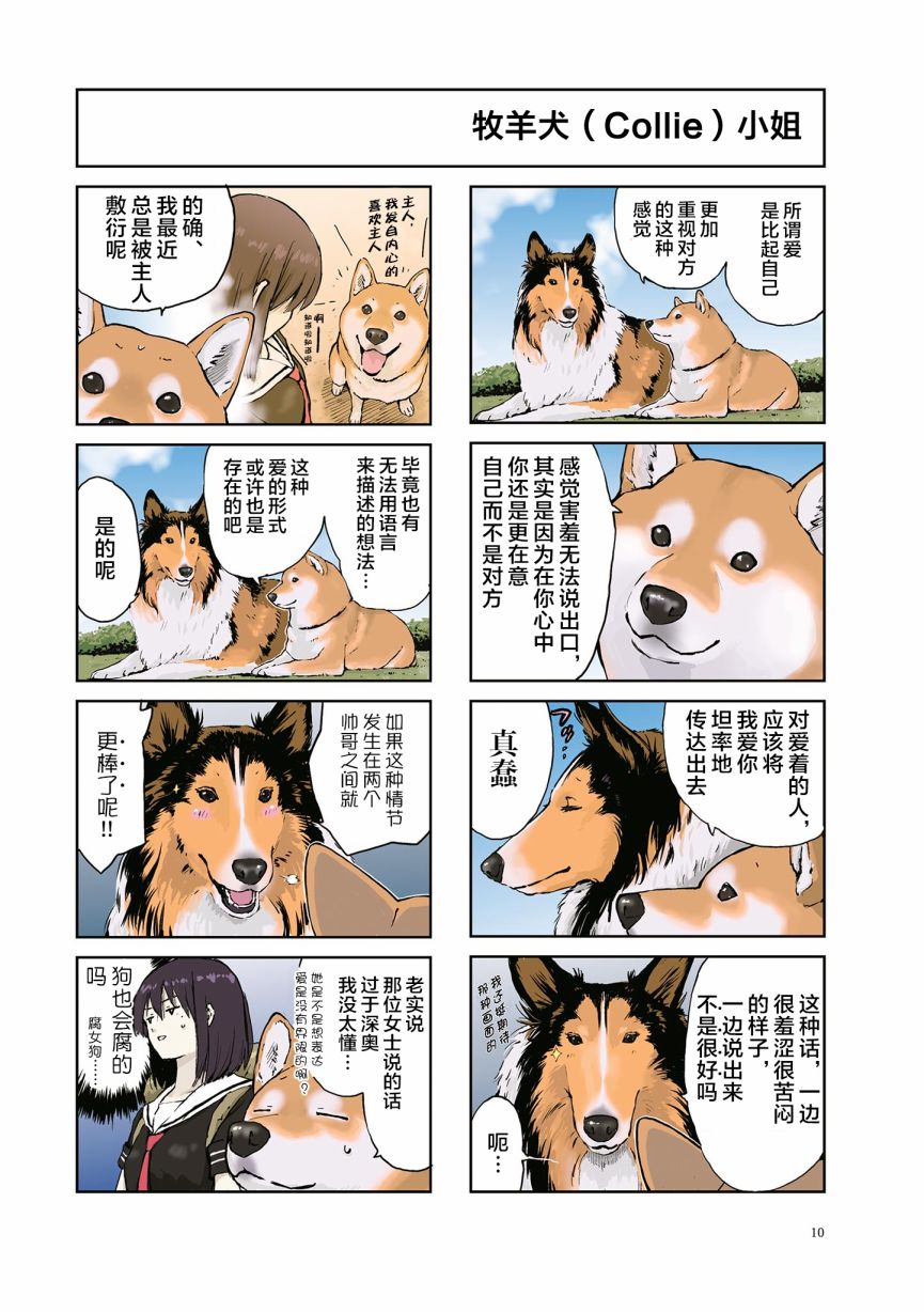 世界末日柴犬爲伴 - 第17話 - 2