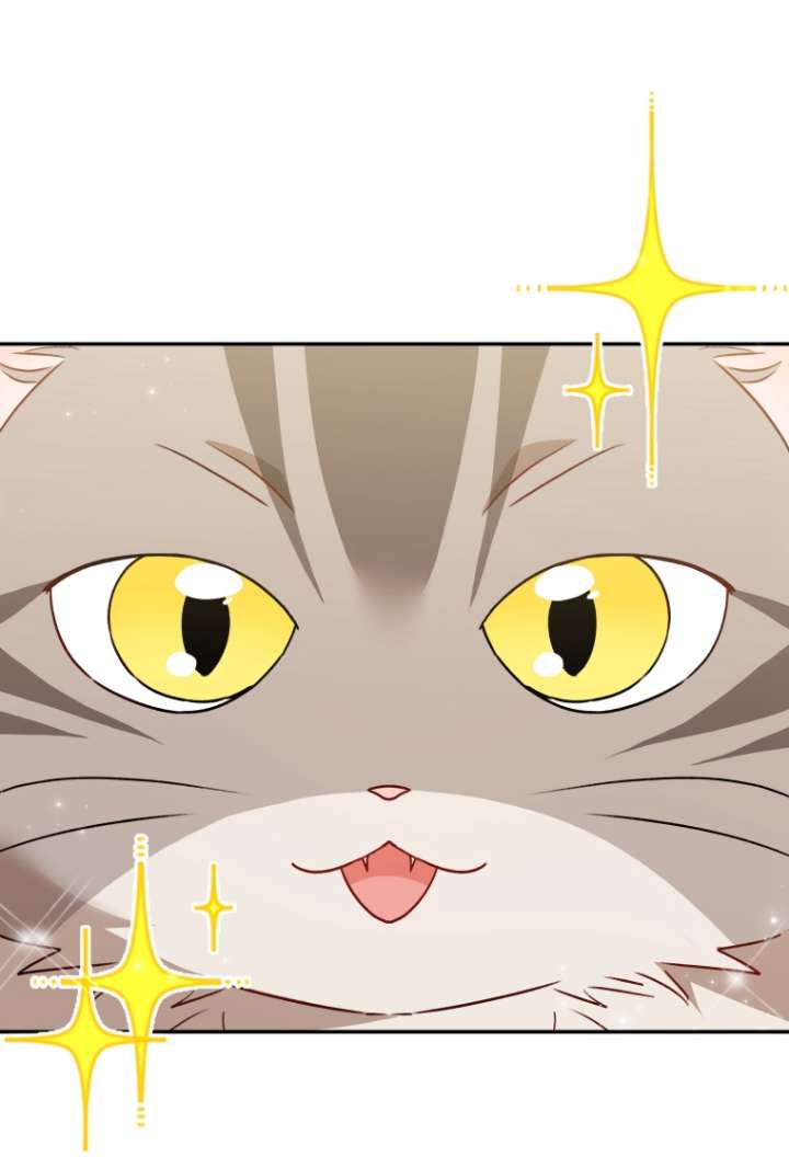 獸醫先生！你好？ - 第38話(1/2) - 1