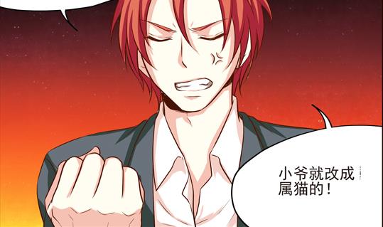 鼠輩至上,貓輩走開 - 第03話 - 4