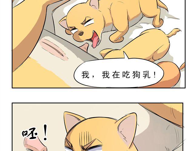 王材傳奇 - 第9話 變成狗或許也不錯！ - 3