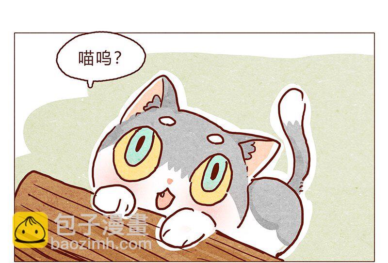 喂，看見耳朵啦 - 126話 不要懷疑自己的喵生 - 4