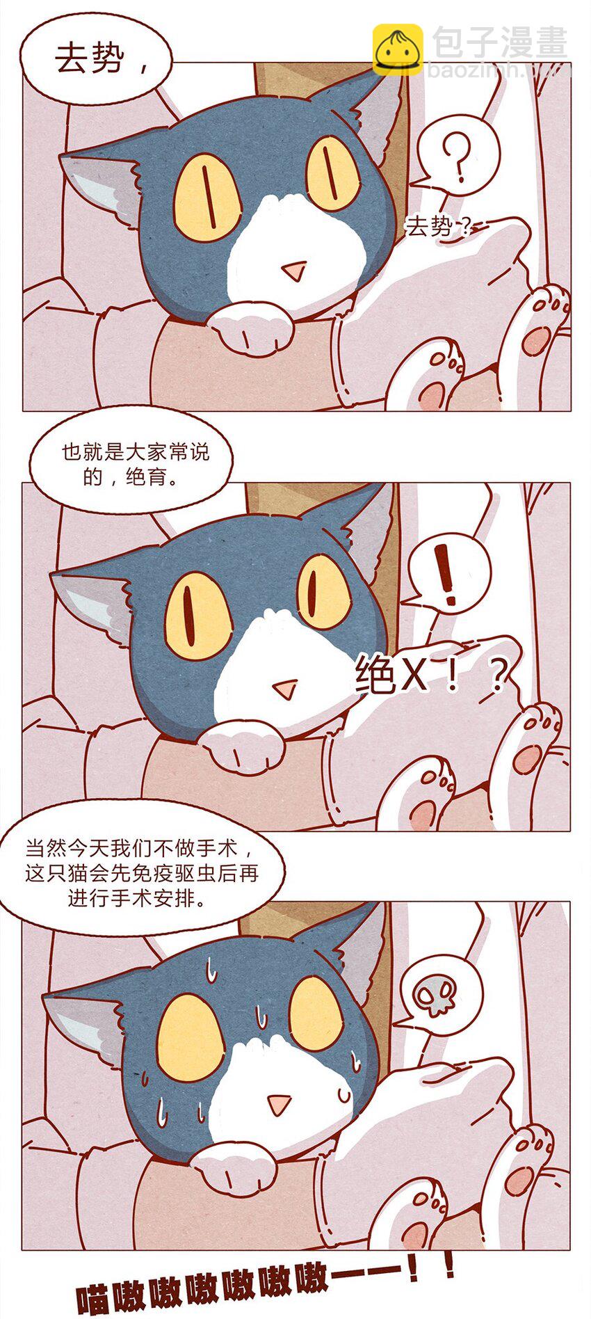 喂，看見耳朵啦 - 172話 汪來喵去 - 4