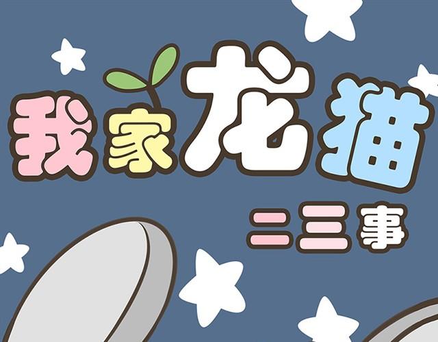 我家龍貓二三事 - 第1話 貓來了 - 1