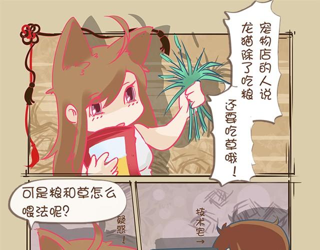 我家龍貓二三事 - 第3話 均衡飲食 - 1
