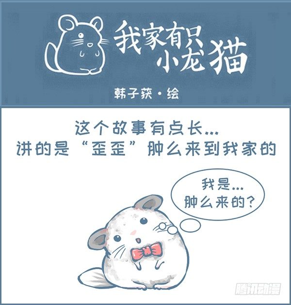 我家有隻小龍貓 - 歪歪的由來（1） - 1