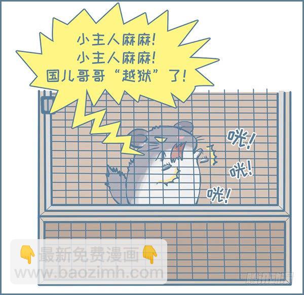 我家有隻小龍貓 - 龍貓國兒“越獄”記（3） - 1