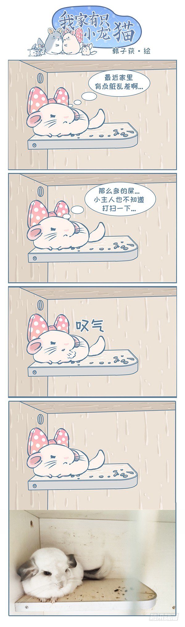 我家有隻小龍貓 - 妮妮的日常生活之二 - 1