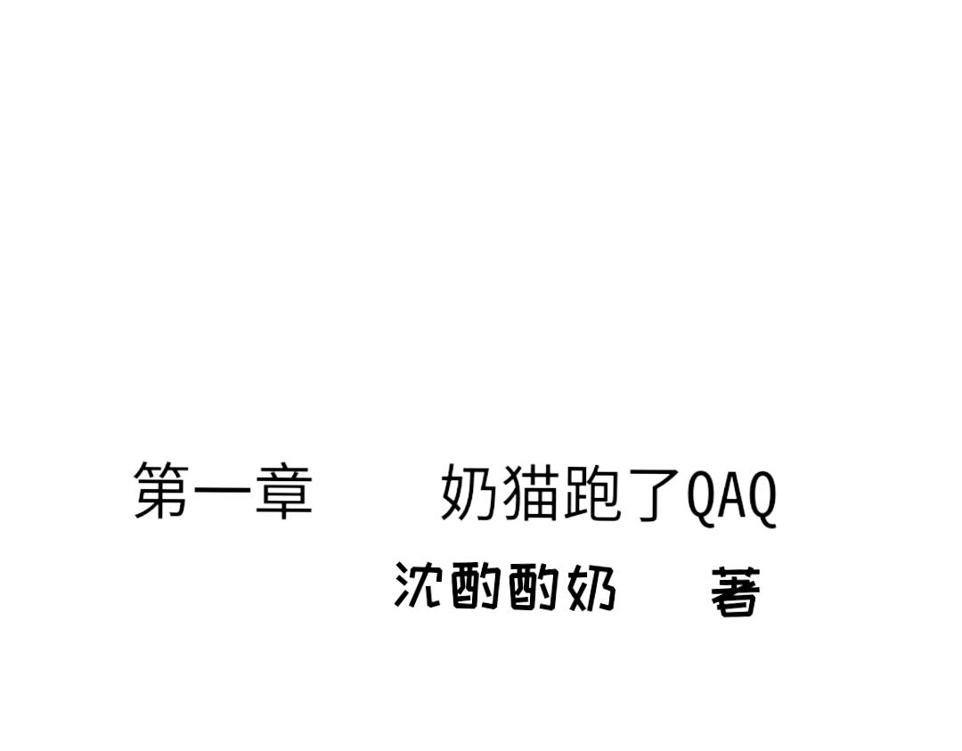 臥貓爲枕 - 奶貓 - 3