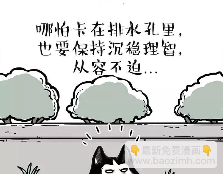 吾皇巴扎黑 - 第105話 勁往一處使 - 3