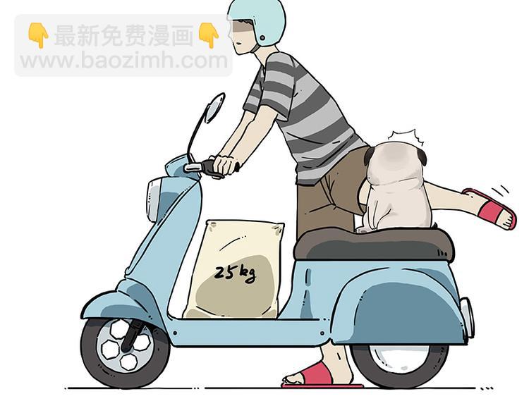 吾皇巴扎黑 - 第207話 巴扎黑丟了？！(1/2) - 3