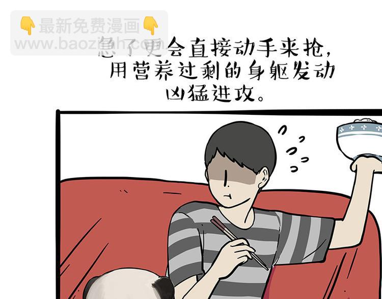 吾皇巴扎黑 - 第253話 與狗爭飯(1/2) - 4