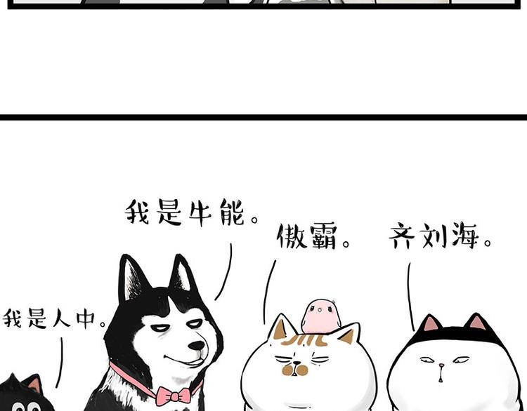 吾皇巴扎黑 - 第269話 跟我回家吧(1/2) - 2