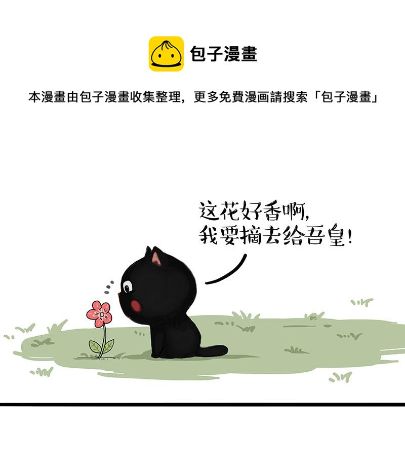 吾皇巴扎黑 - 第311話 抓不住！ - 1