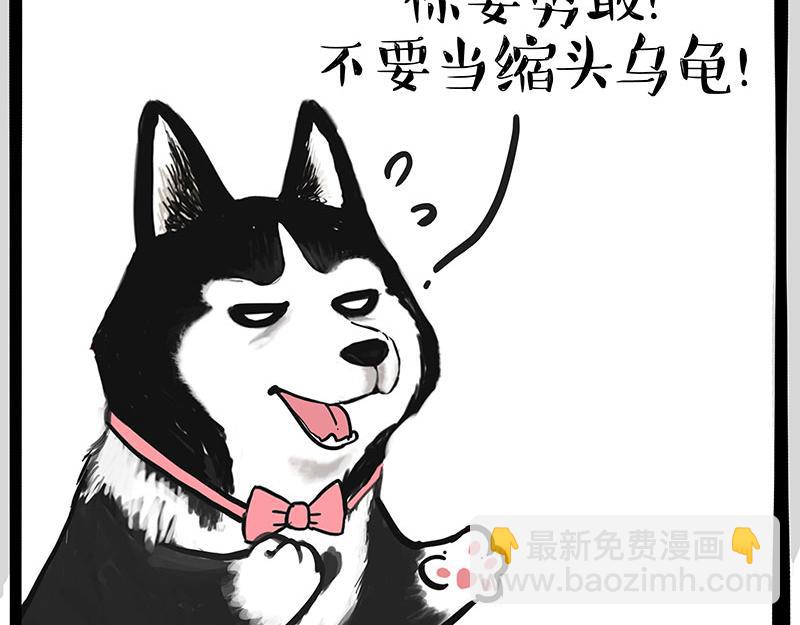 吾皇巴扎黑 - 第347話 八百個心眼子 - 3