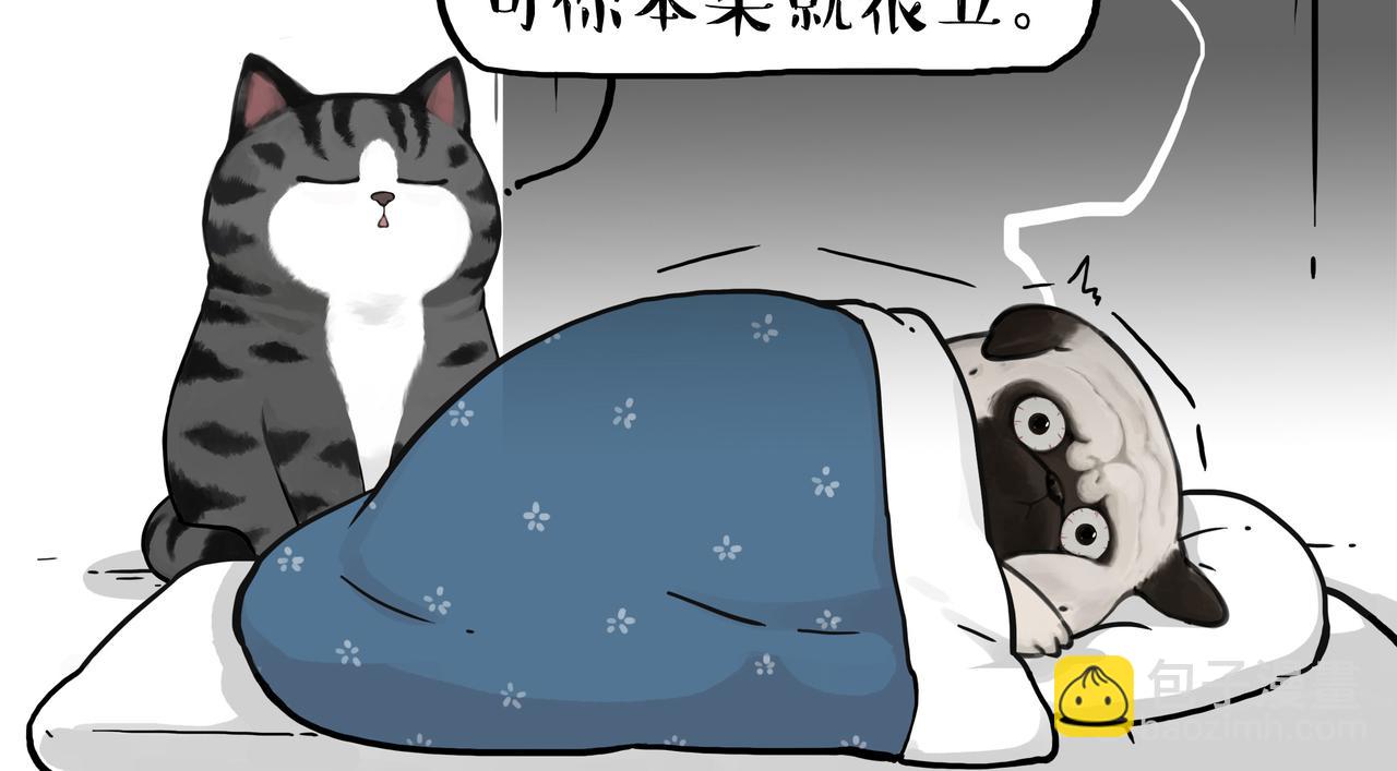 吾皇巴扎黑 - 第355話 一起回家 - 2