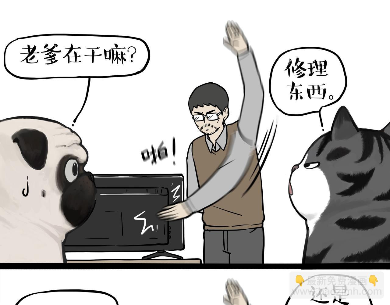 吾皇巴扎黑 - 第355話 一起回家 - 3
