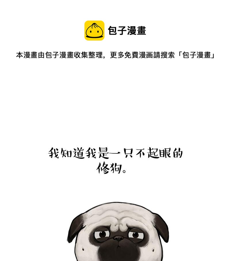 吾皇巴扎黑 - 第357話 巴扎黑的智慧 - 1