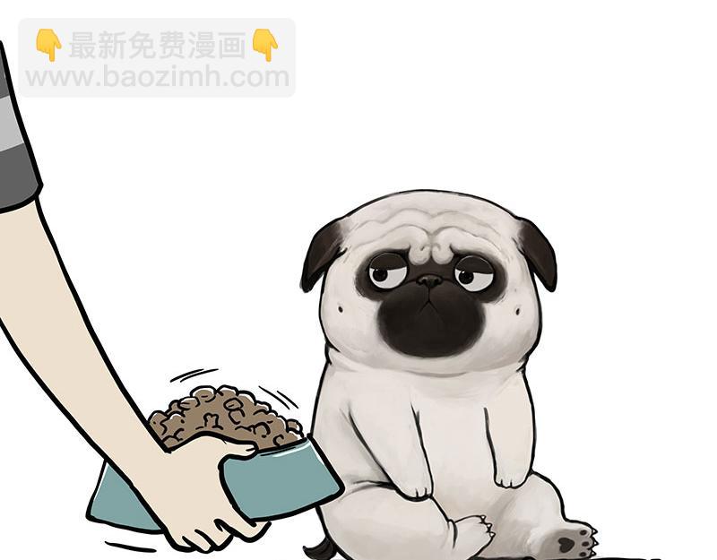 吾皇巴扎黑 - 第357話 巴扎黑的智慧 - 3