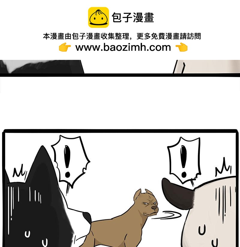 吾皇巴扎黑 - 第375話 偶遇惡犬 - 2