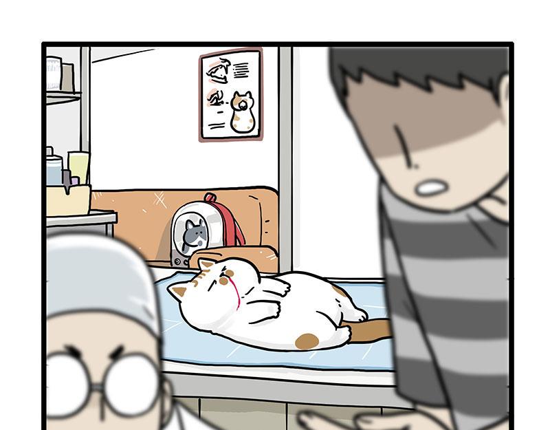 吾皇巴扎黑 - 第441話 不要出賣老大！ - 1