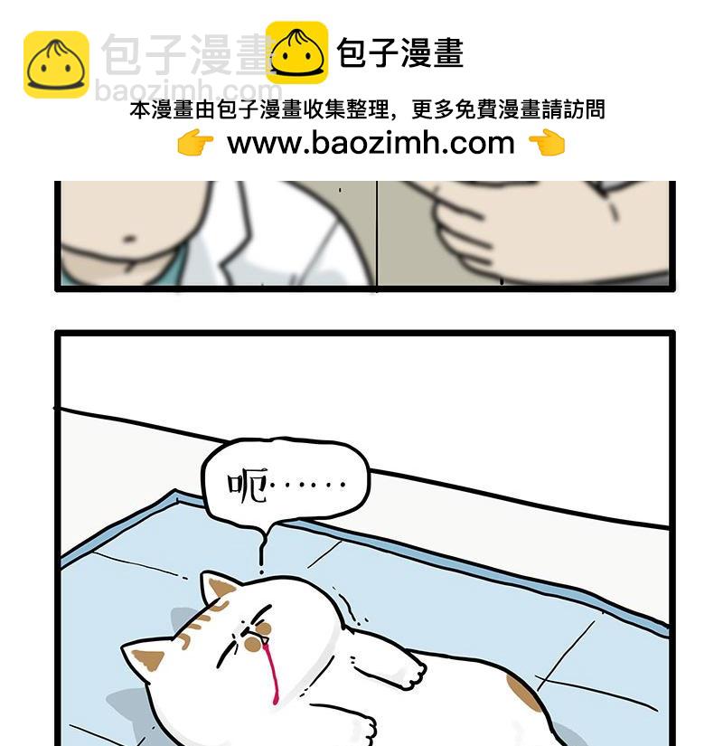 吾皇巴扎黑 - 第441話 不要出賣老大！ - 2