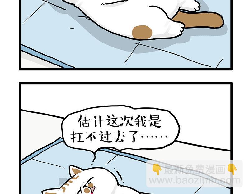 吾皇巴扎黑 - 第441話 不要出賣老大！ - 3