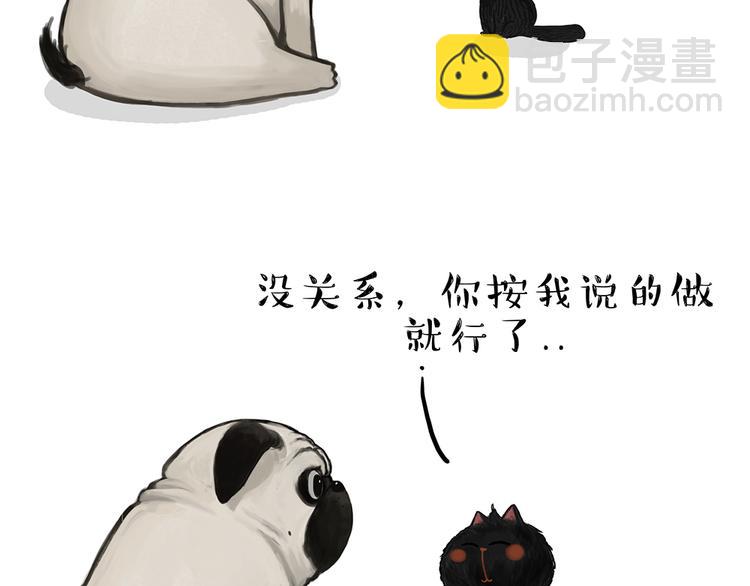 吾皇巴扎黑 - 第51話 貓和狗的待遇就是不同 - 3