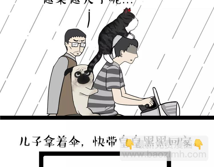 吾皇巴扎黑 - 第89話 親情 - 3