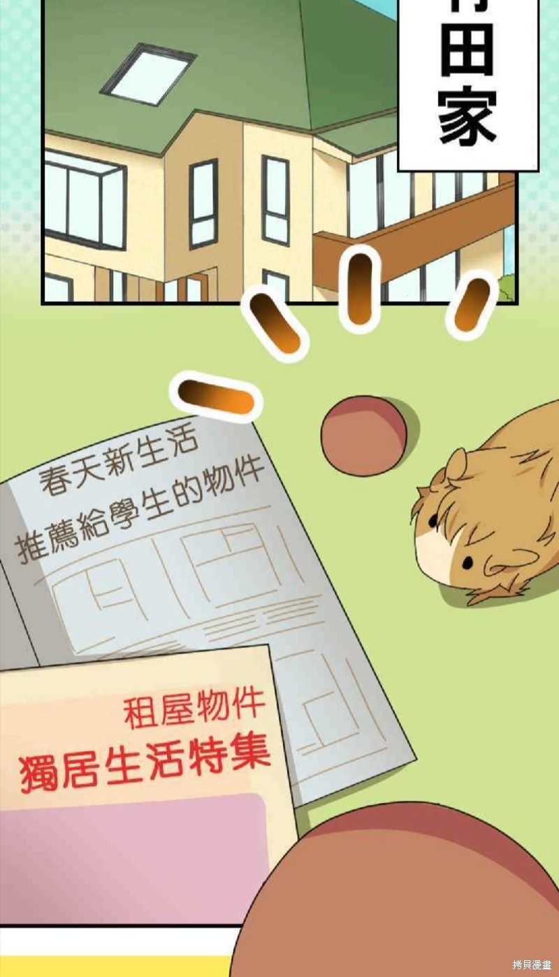香菇君，你在做什麼? - 第41話 - 2