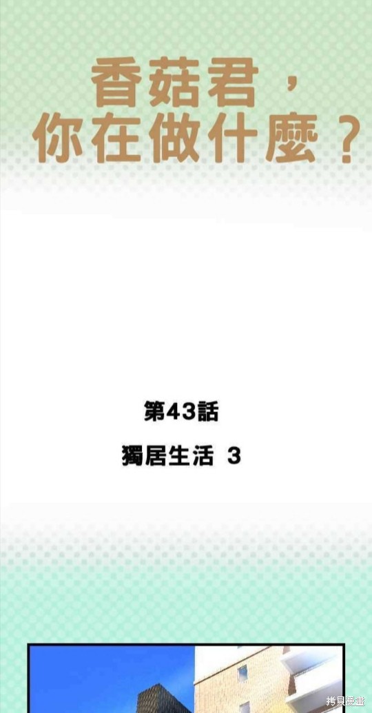 香菇君，你在做什麼? - 第43話 - 1