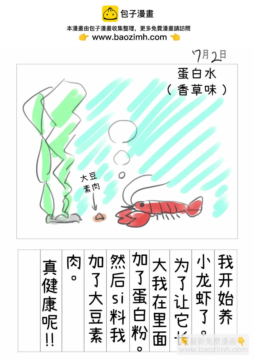 小龍蝦醬觀察日記 - 第01話 - 2