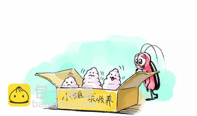 小強100種死法 - 一起去遛蒼蠅怎麼樣 - 2