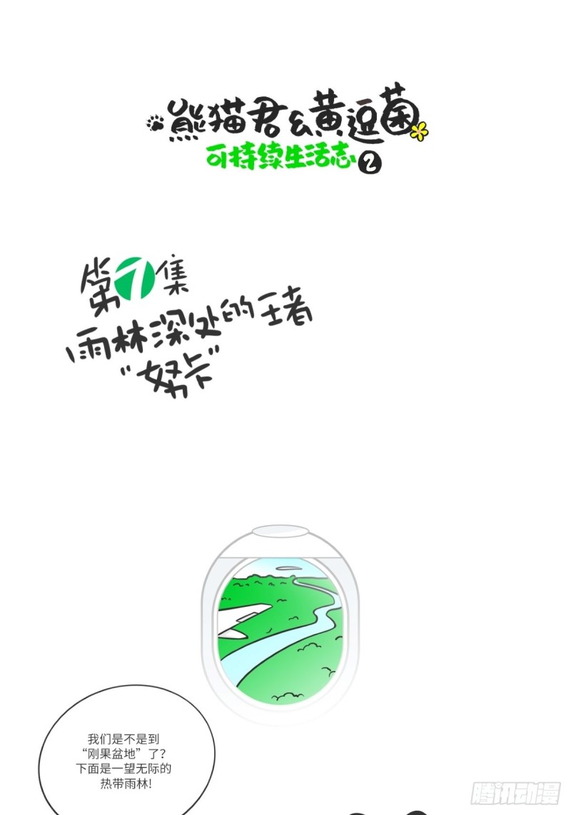 熊貓君和黃逗菌可持續生活志II - 第7話 雨林深處的王者“努卡” - 1