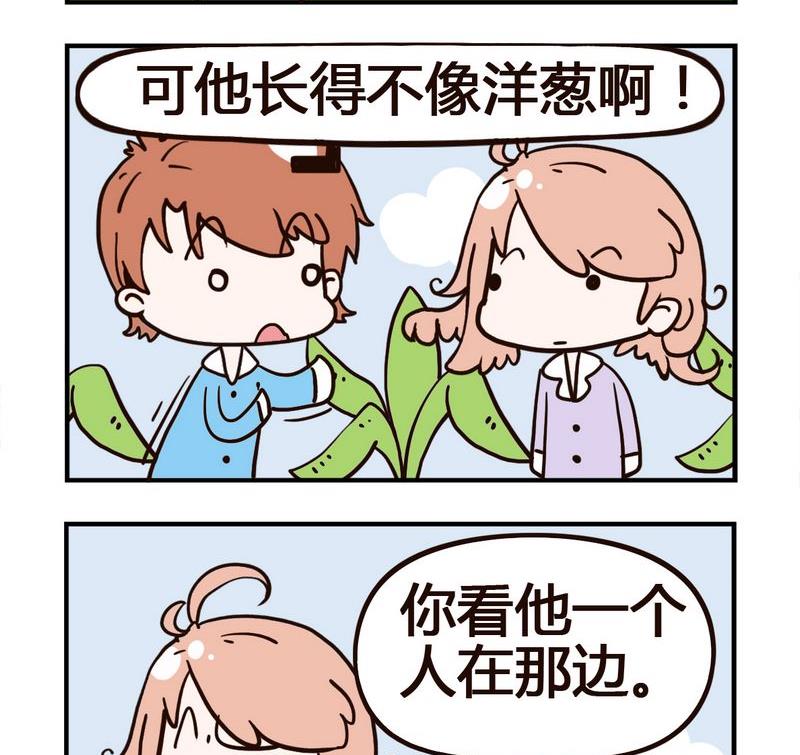 洋蔥 - 1 洋蔥 - 1