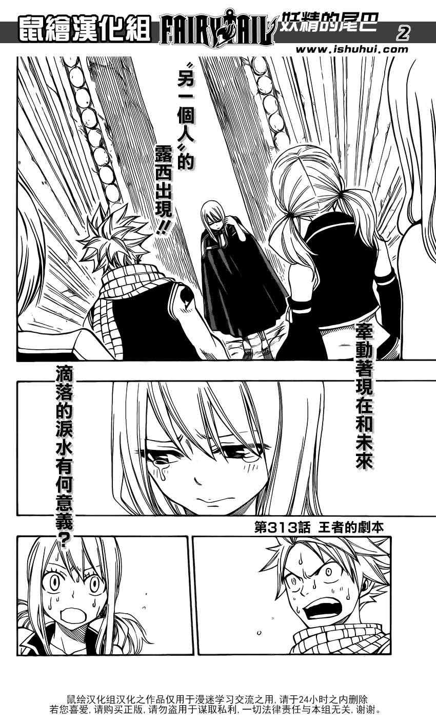 妖精的尾巴 - 第313話 - 2
