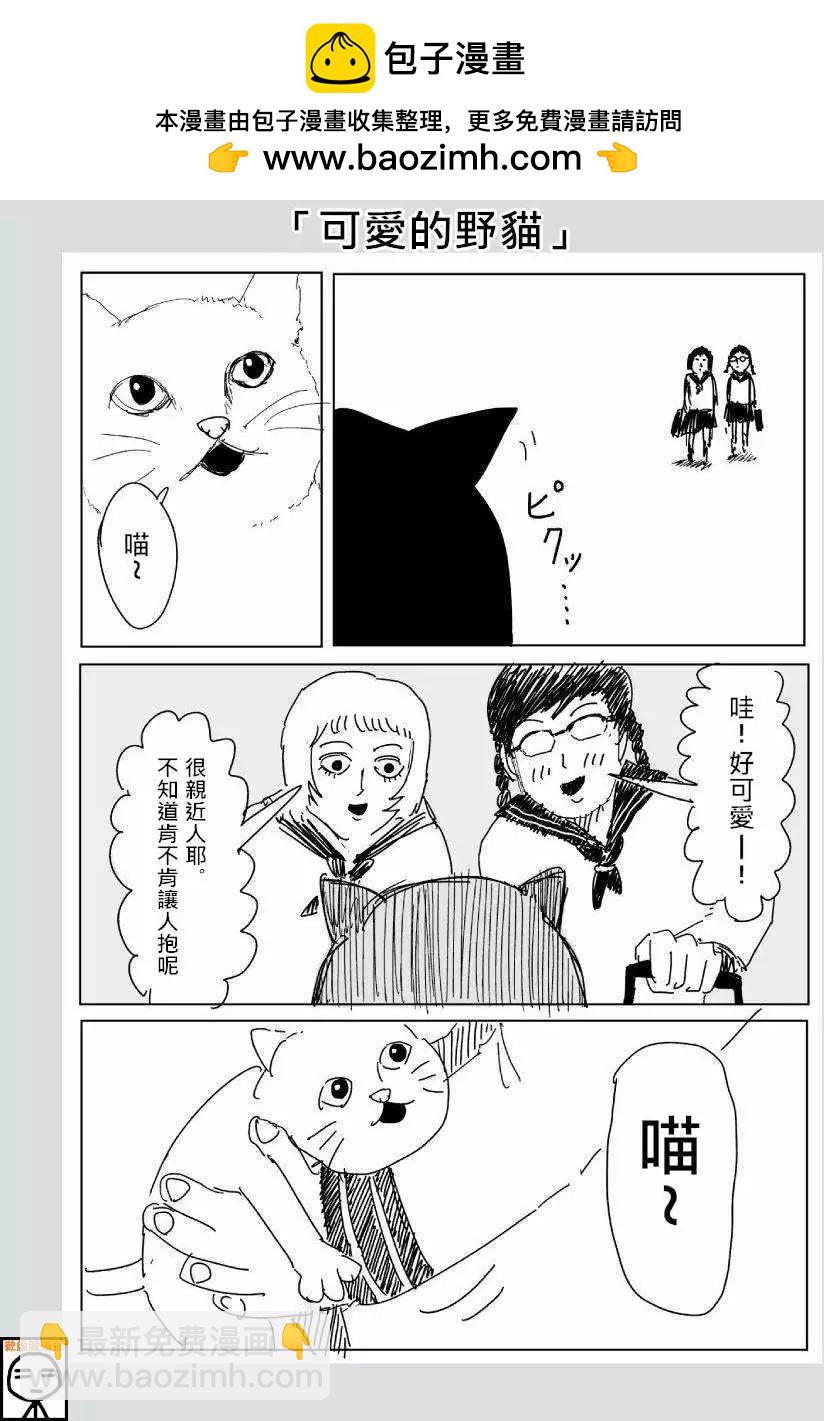一拳超人原作版 - 可愛的野貓 - 2
