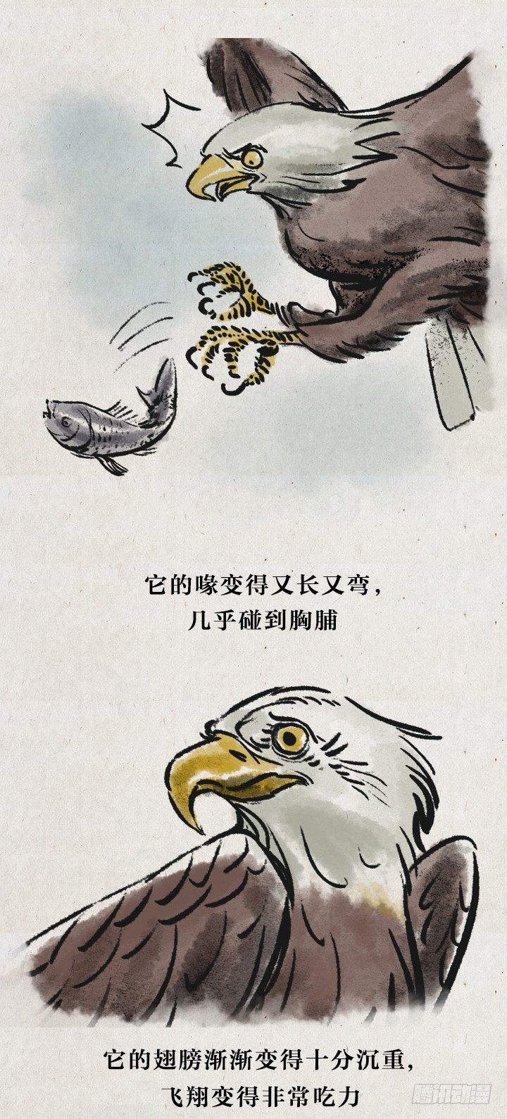 一禪小和尚 - 第七十二話 暖心小故事(1/2) - 2
