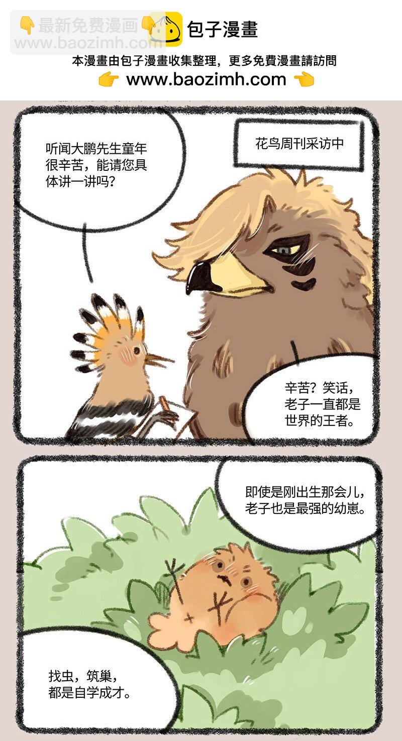 有獸焉 - 410 金翅大鵬和孔雀 - 2