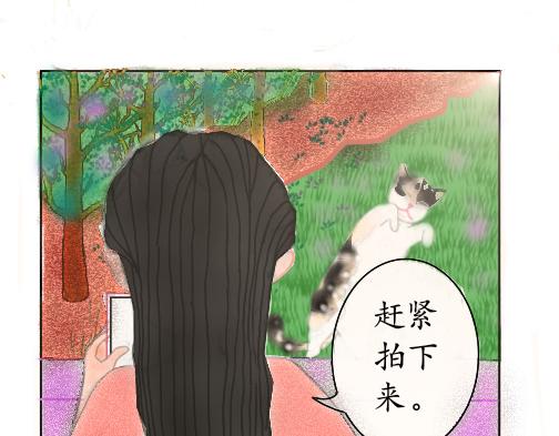 渣貓查查 - 第三話 萬物皆愛吸貓(2/2) - 1