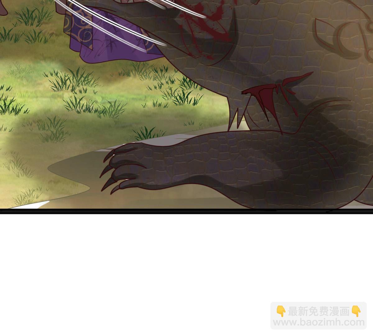 戰神狂妃：鳳傾天下 - 117 第116話 一網打盡(1/2) - 4