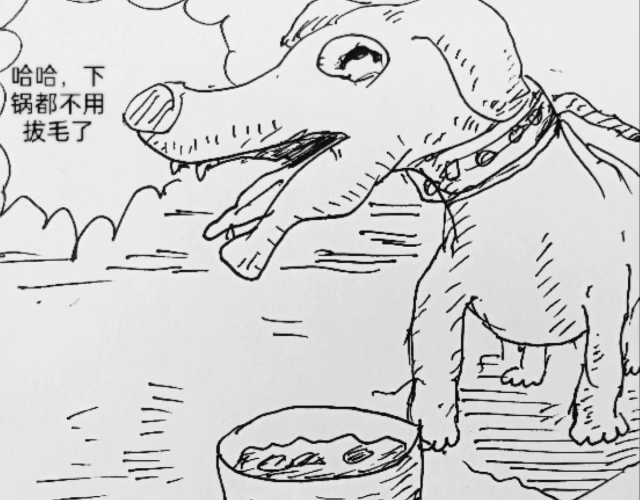 智慧之星 - 無毛雞的憤怒 - 3